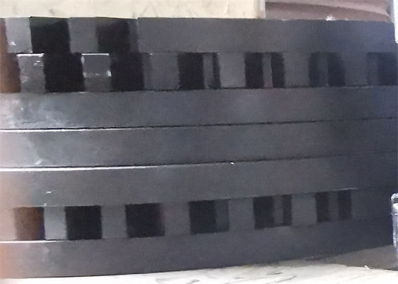 Large Diameter Nylon Plastic Injection Molded Spur Worm Gear