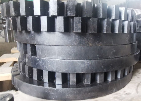 Large Diameter Nylon Plastic Injection Molded Spur Worm Gear