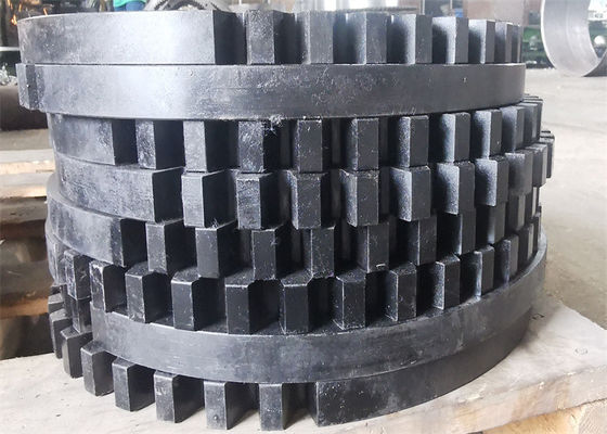 Large Diameter Nylon Plastic Injection Molded Spur Worm Gear